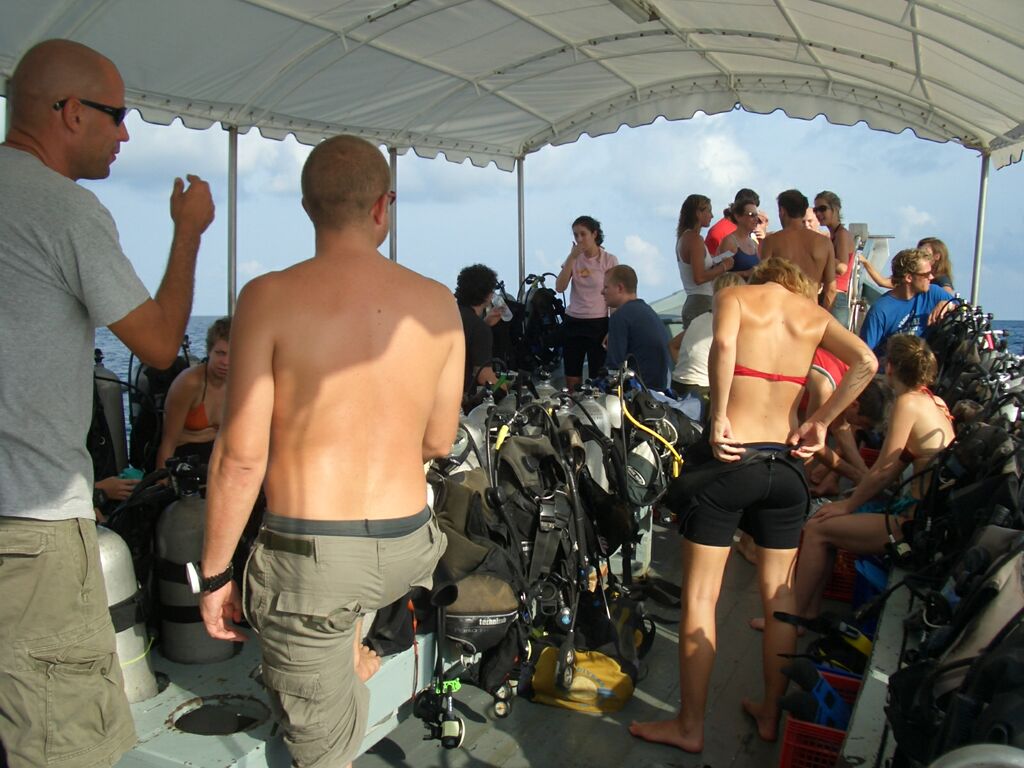 Click to See Next Image